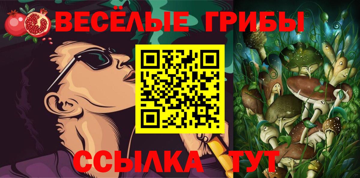 Галлюциногенные грибы MAGIC MUSHROOMS  Вход с VPN  Ипатово 